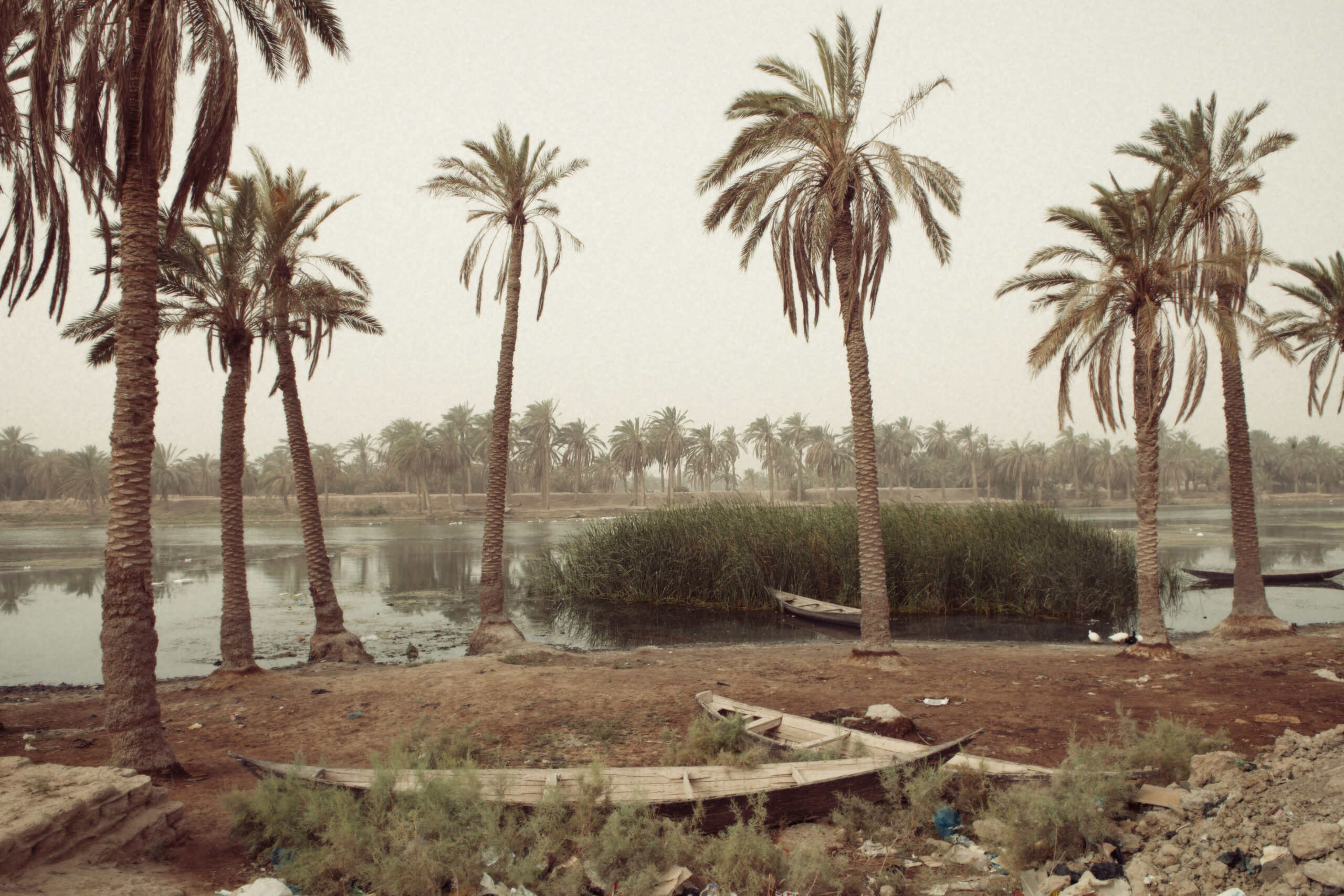 Lansdcape in West Hammar in Iraq on 17th July 2011.
Saddam Hussein dried down the Mesopotamian Marshes almost completely after the Gulf War as a revenge against the Shi'ites' revolution. In 2003, after the US invasion, the Marsh Arabs opened the dams and water flowed into the Marshes again. Nearly 40 % of the Marshes, once called the Garden of Eden, can come back to life again though now there is water shortage due to the construction of dams in Iraq's neighbouring countries.
(c) Agata Skowronek