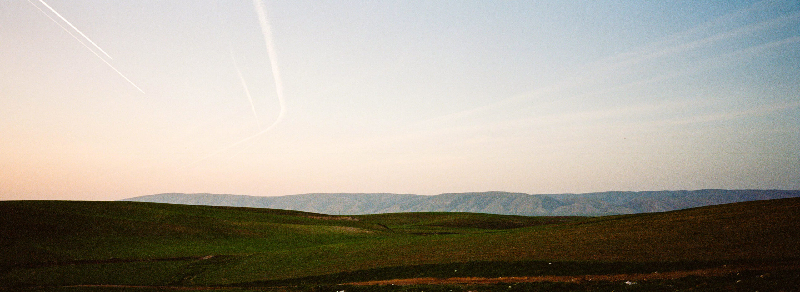 0108_88650011
